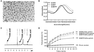 Tumor-Targeted Gene Silencing IDO Synergizes PTT-Induced Apoptosis and Enhances Anti-tumor Immunity